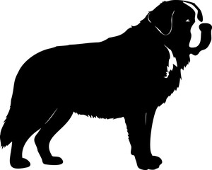 Cute dog posing on a white background. Friendly and loyal pet perfect for animal-related projects, pet care ads, veterinary services, dog training, companionship themes, and family lifestyle visuals.