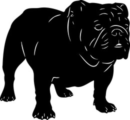 Obraz premium Cute dog posing on a white background. Friendly and loyal pet perfect for animal-related projects, pet care ads, veterinary services, dog training, companionship themes, and family lifestyle visuals.