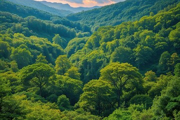 Fototapeta premium Stunning Wild Forest View with Lush Green Trees and Vibrant Natural Scenery