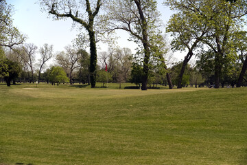 Tranquil Spring Morning on a Lush Golf Course