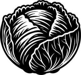 Cabbage silhouette