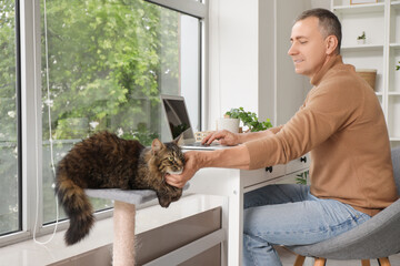 Mature man petting cute cat on scratching post while working at home