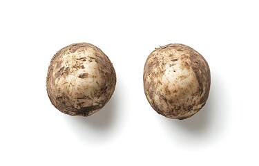 Fototapeta premium Fresh Raw Root Vegetables with Soil on White Background