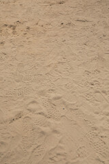 footprints, sneaker, shoe prints in the sand at public park