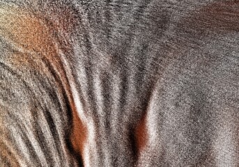 Heavily Textured Background Suggesting Weathered Surfaces with Deep Grooves and Fading Tones of Dark Gray and Earthy Brown