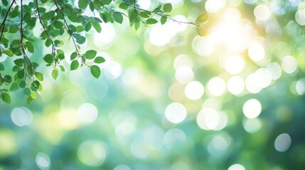 Fototapeta premium Soft-focus forest background with green bokeh and light leaks, perfect for natural, calm and botanical themes