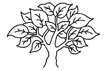 Broadleaf Tree Line Art, Elegant Tree Illustration, Minimalist Tree Drawing, Natural Leaf Sketch