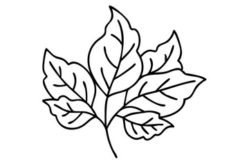 Broadleaf Tree Line Art, Elegant Tree Illustration, Minimalist Tree Drawing, Natural Leaf Sketch