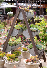 tiered planter