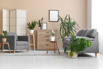 Sofa, chest of drawers and houseplants near beige wall in living room