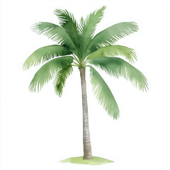 Colorful watercolor depiction of a palm tree with lush green fronds standing against a white background
