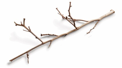 Fototapeta premium Photorealistic image of a pale twig isolated on a white background