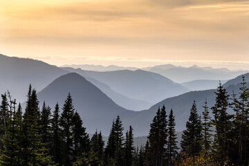 Obraz premium Layered mountain ridges at sunset, framed by evergreen trees