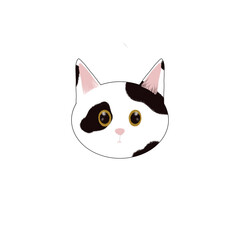 vector illustration of a cat