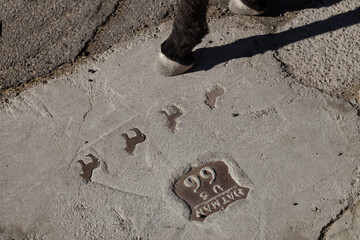 Burro foot on a sidewalk