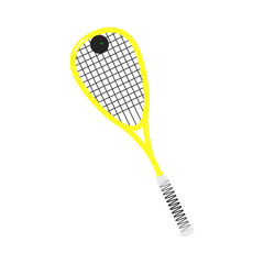 Yellow Squash Rackets and ball