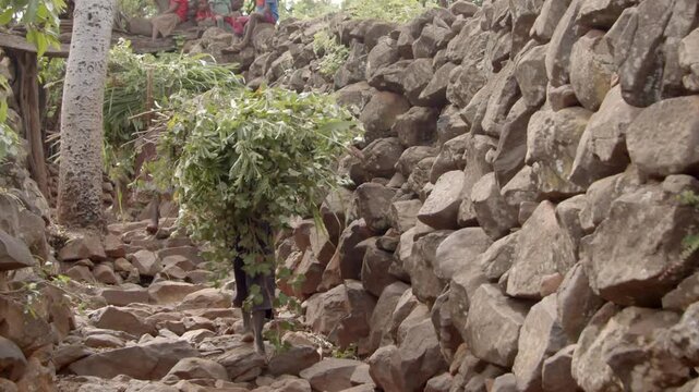 Women carry large bundles of branches in a village in Konso, Ethiopia, in this slow motion shot.