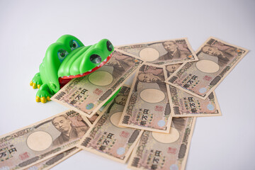 お金に執着しているワニ ビジネス 貯金 