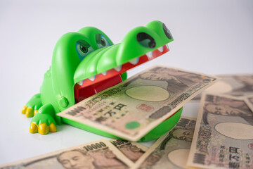 お金に執着しているワニ ビジネス 貯金 