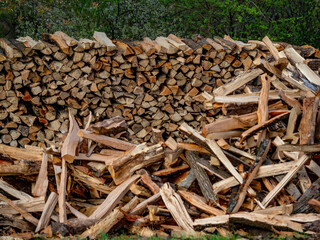 Brennholz Lager auf einer Wiese im Frühjahr