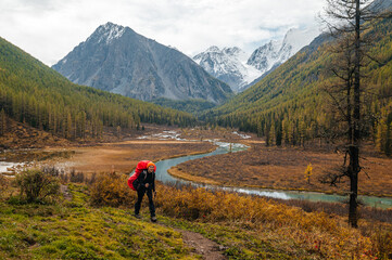 Fototapeta premium a girl walks with a backpack in Altai in autumn along the valley of the Shavla River