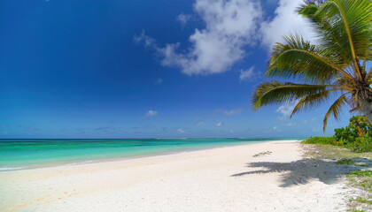 Fototapeta premium A tall palm tree casts a shadow over the soft white sand as gentle waves meet the turquoise sea beneath a vibrant blue sky filled with scattered clouds.