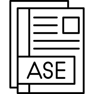 ASE Icon