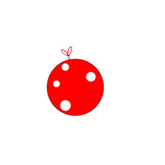 ladybug on a white background