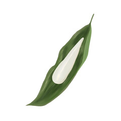 端午の節句（こどもの日）に食べる縁起物、笹の葉を開いた状態のちまき（茅巻き）、もちもちでつるつるの美味しそうな餅