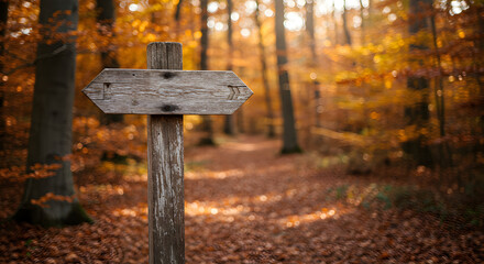 Directional Sign In Autumn Woodland Guiding The Way Forward Outdoors
