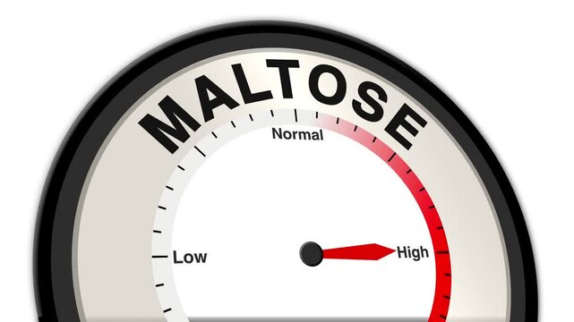 Maltose text or word with a barometer or tachometer-style gauge, illustrating varying levels of this sugar and its impact on digestion and energy