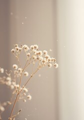 minimalist close-up of white dried baby's breath flower swaying in a gentle breeze, vintage pastel background