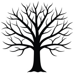 Obraz premium Silhouette Tree Detailed Black Tree Silhouette with Bare Branches