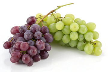 Fototapeta premium Two Bunches of Grapes - Red and Green Variety