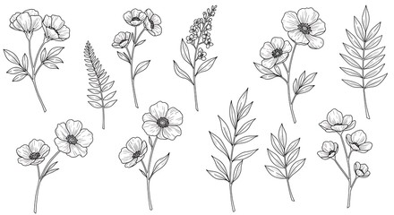 Elegant Botanical Line Art: Delicate Floral Sketches