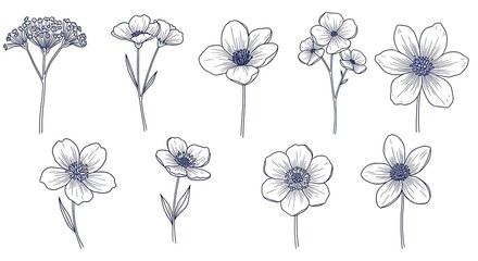 Elegant Line Art Floral Collection: Delicate Botanical Drawings