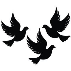 Obraz premium Flying Doves Silhouettes with Spread Wings on Transparent Background, Three Birds