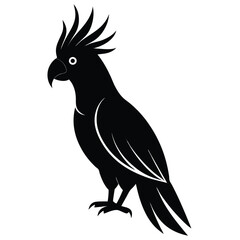 Fototapeta premium Isolated Black Cockatoo Bird with Crest Silhouette on Transparent Background