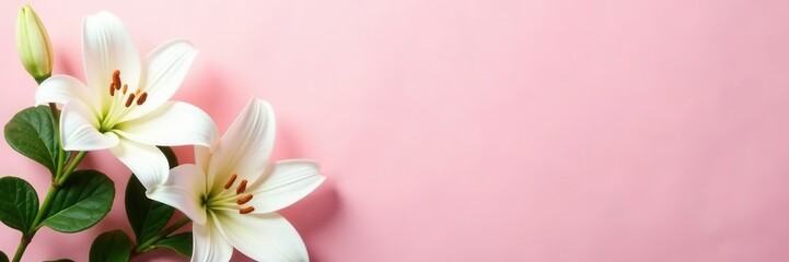 Obraz premium Delicate pink backdrop, white lilies, green ivy, wedding decorations, arch, flowers