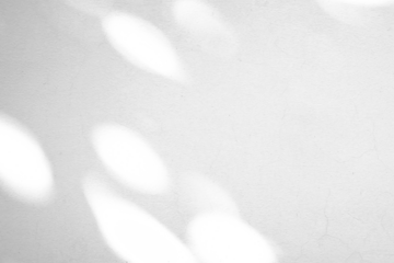 Abstract natural tree leaves shadow on white wall background