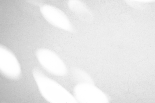 Abstract natural tree leaves shadow on white wall background