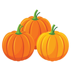Halloween  three Pumpkin isolated  on white background