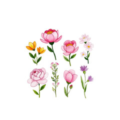 A collection of delicate floral illustrations featuring pink peonies, yellow flowers, and other colorful blossoms, capturing the beauty of nature in vibrant detail