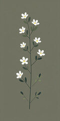 Minimalist Botanical Illustration – White Flowers on Olive Green Background