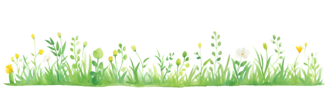 PNG Grass as divider watercolor flower asteraceae graphics.