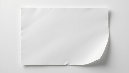 Minimal White Paper with Soft Shadow and Curved Edge for Mockups