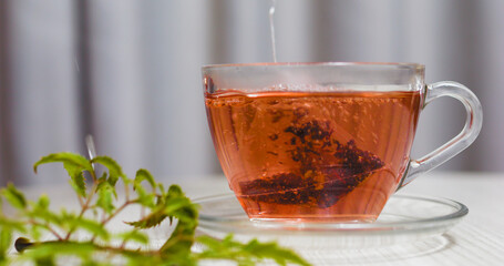 Fruit and herbal tea is brewing in a glass cup on a table, with a tea bag steeping in hot water and a green plant sprig nearby, creating a cozy and refreshing atmosphere