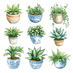 Fototapeta premium Vibrant Indoor Plants in Decorative Pots for Home Decor and Gardening Inspiration