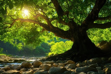 Fototapeta premium Lush green tree by river