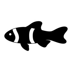 clown loach fish black silhouette of a moorish idol fish aquatic animal ocean life- simple black silhouette of a clown loach fish tropical sea life animal icon,